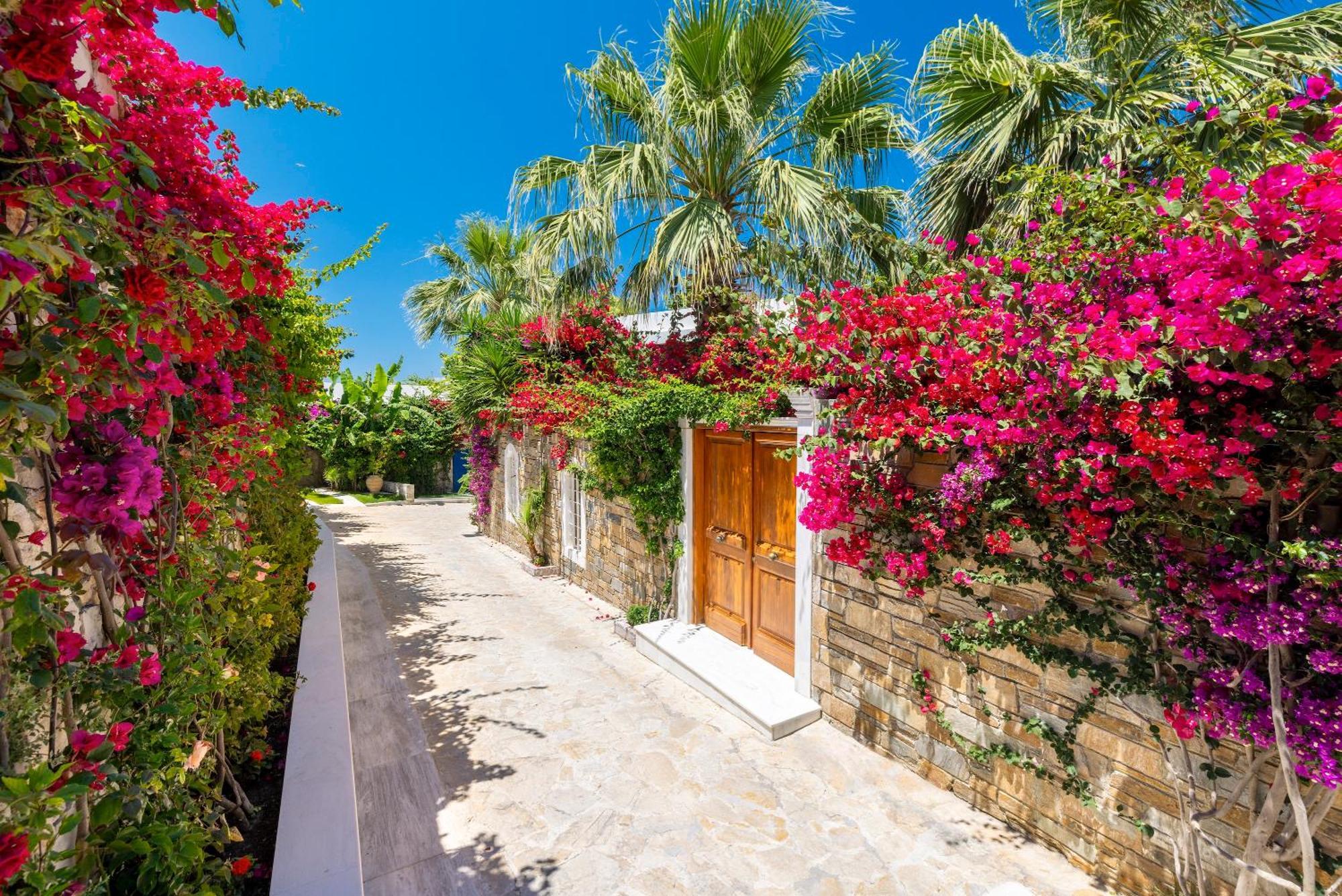 Porto Zante Villas And Spa Tragaki Exterior photo